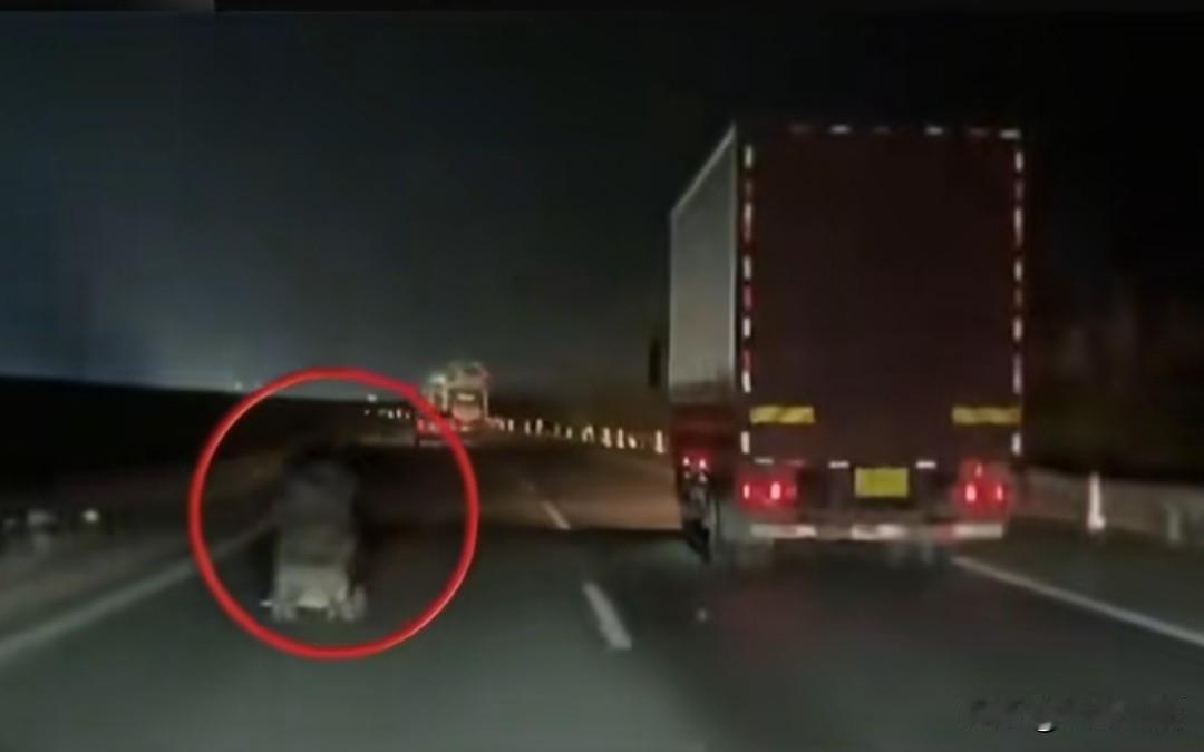 老人高速逆行推婴儿车太扯了吧，说实话只要不是官方发的新闻，我都以为是假的。事发