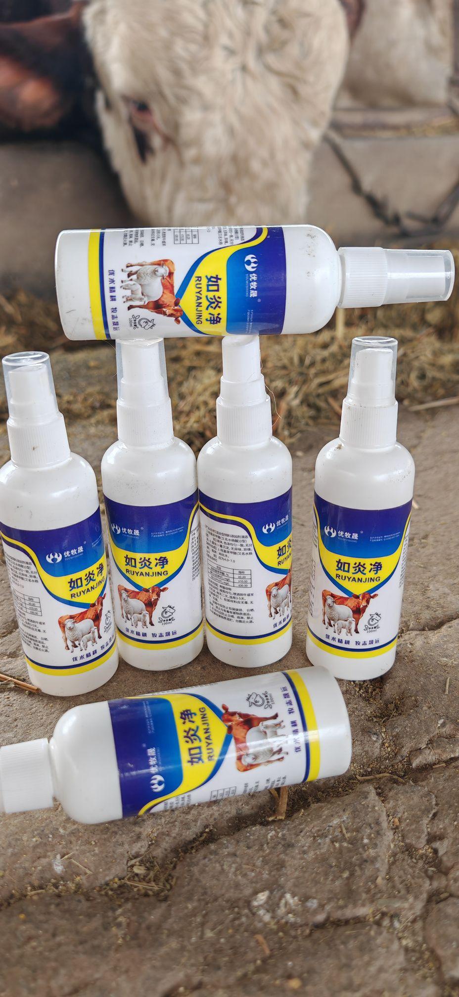 养牛人牛羊养殖农村养羊