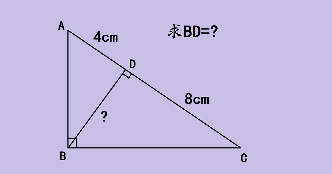 直角三角形藏玄机！巧用面积法秒解BD长度，数学思维瞬间开窍！