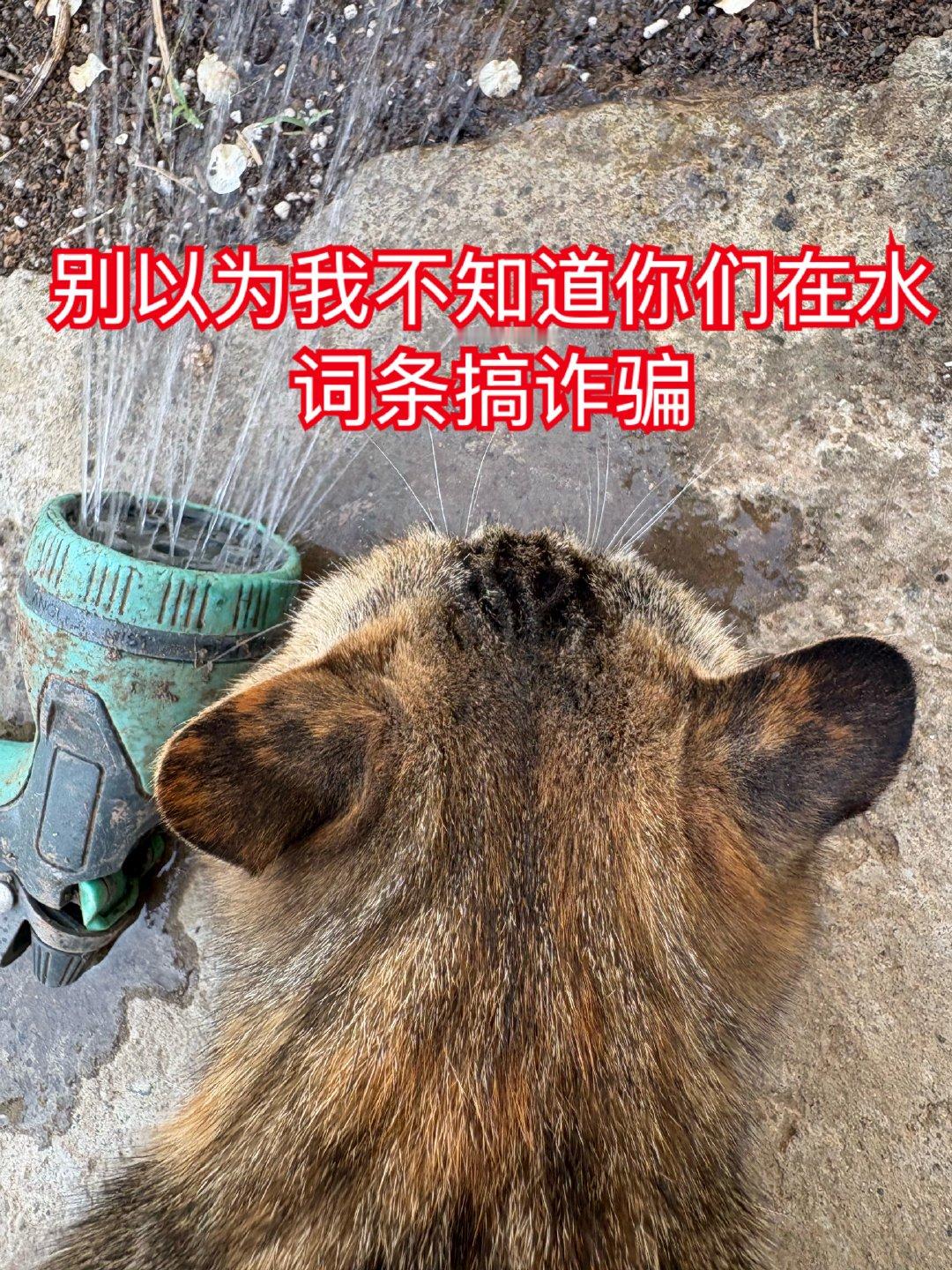 大营销切片式做新闻，我们就有义务给它们补充完整了，以免它们公开搞诈骗。