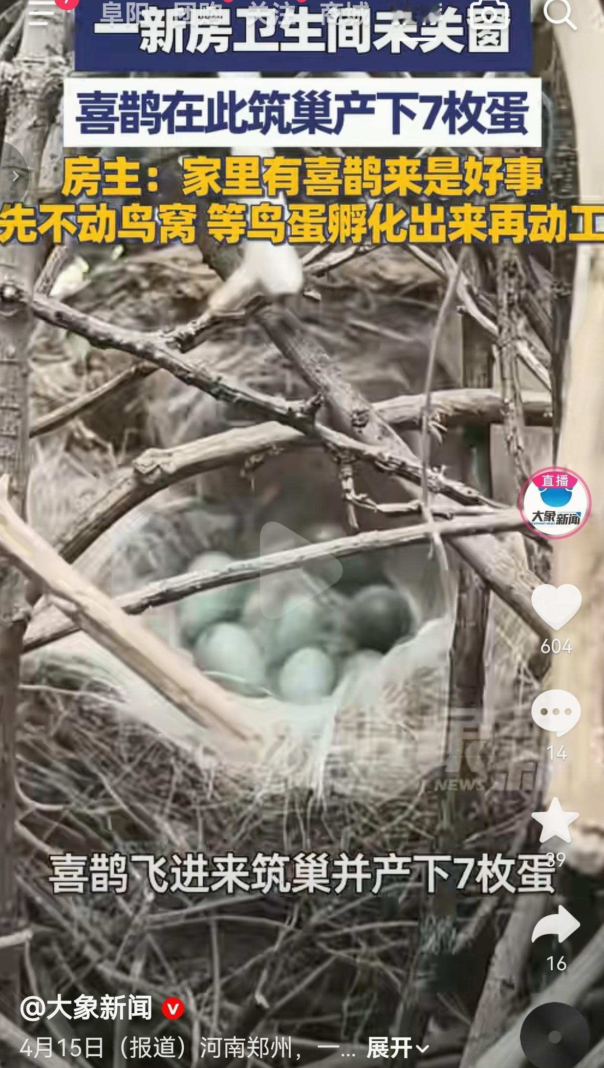 近日，河南郑州一套正在装修的新房里，发生了一件超暖心的事。装修工人夏先生上门