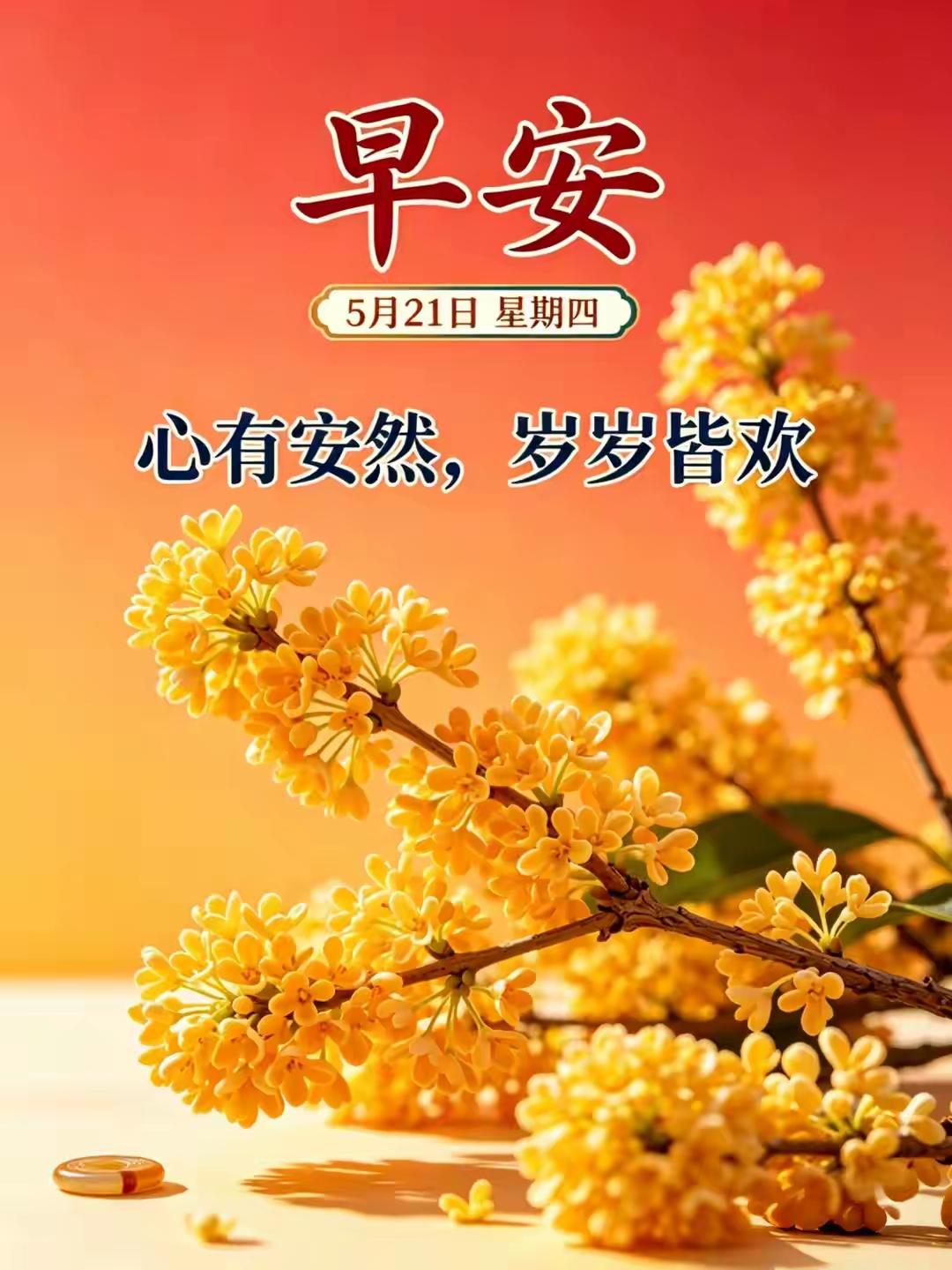 淡淡晨光，悠悠清风，清晨的美好温柔又治愈。一份简单早安祝福，送给身边每一位好友。