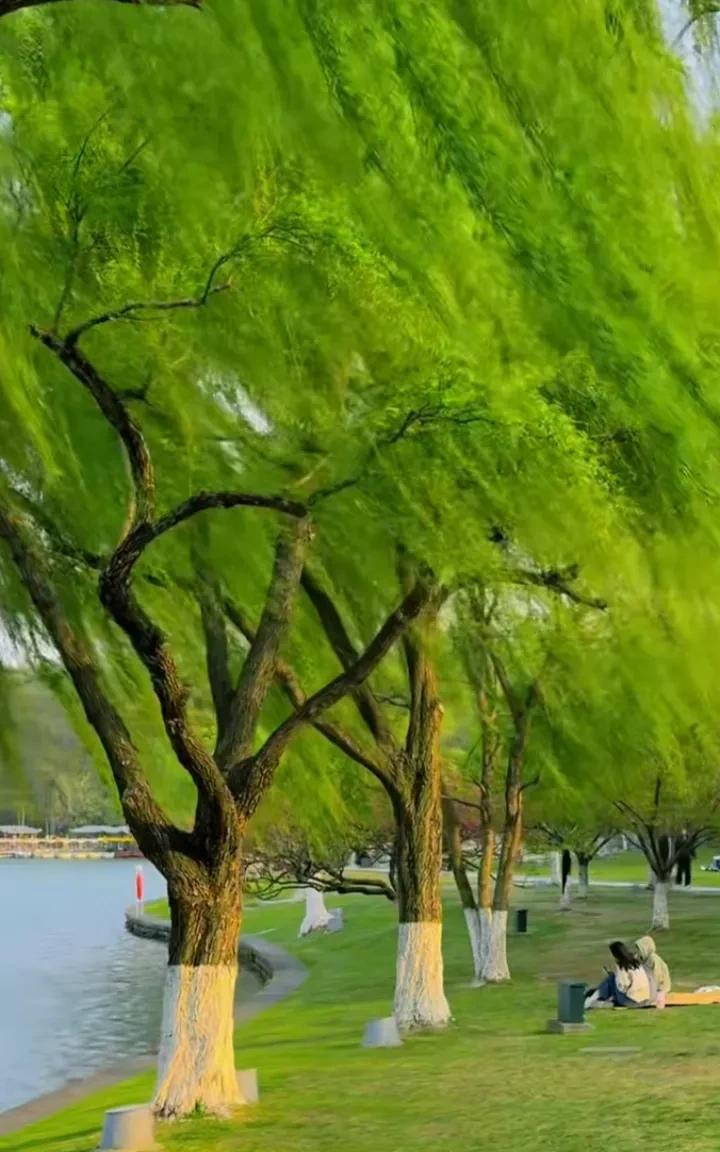 突然被人民日报暖到了你所有的压力是因为你的欲望太高了，自己所有的痛苦是因为自己