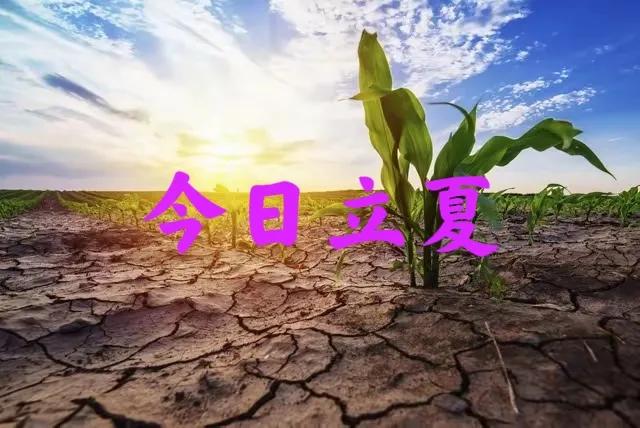 “立夏逢换甲，有雨也别下”，今日立夏是“甲戌日”，下雨有啥说法？早做准备