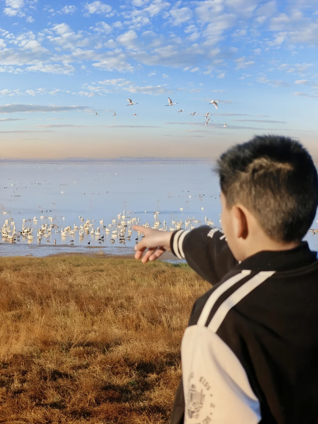 此时此刻鄱阳湖吴城观候鸟的含金量还在上升