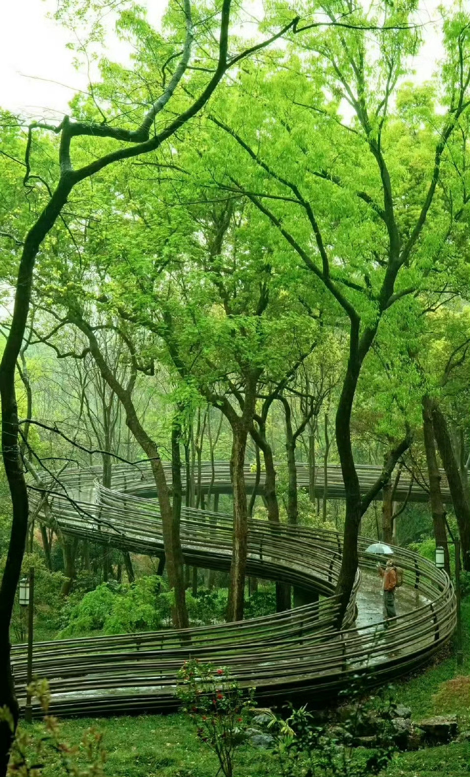 三面云山一面城，既有江南诗意又有硬核福利，吃喝玩乐样样舒心，谁不羡慕生活在杭州的