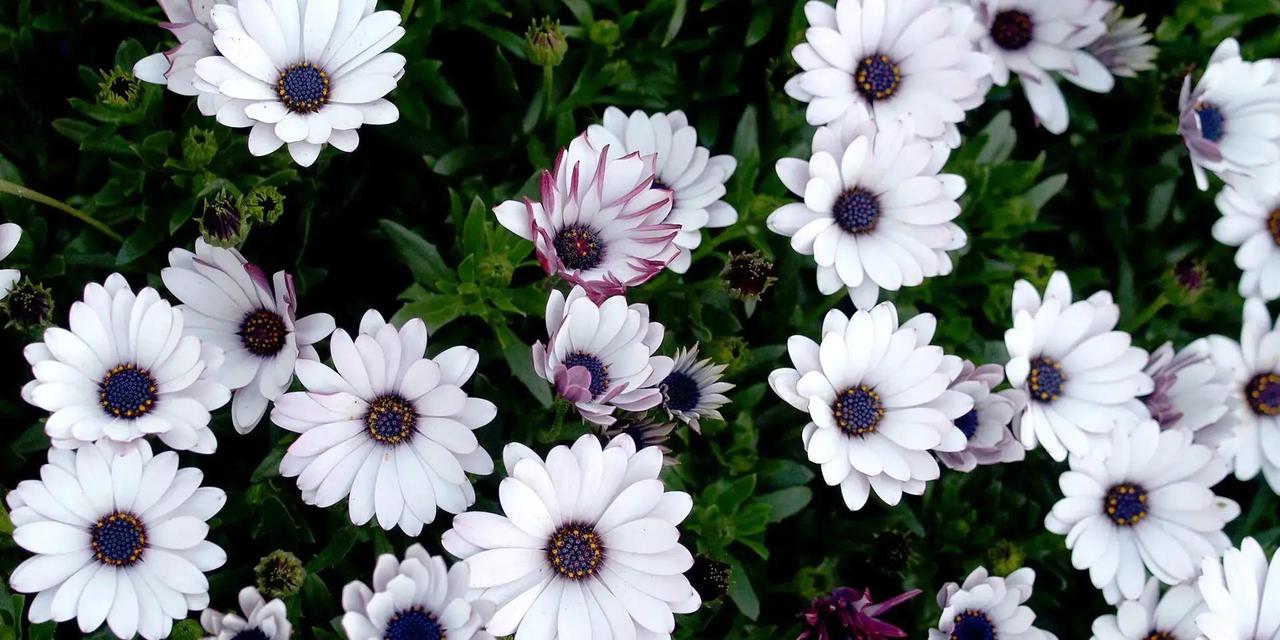 属猴的朋友们，12月18到24这几天，运势突然亮堂起来，好机会扎堆出现，工作感情