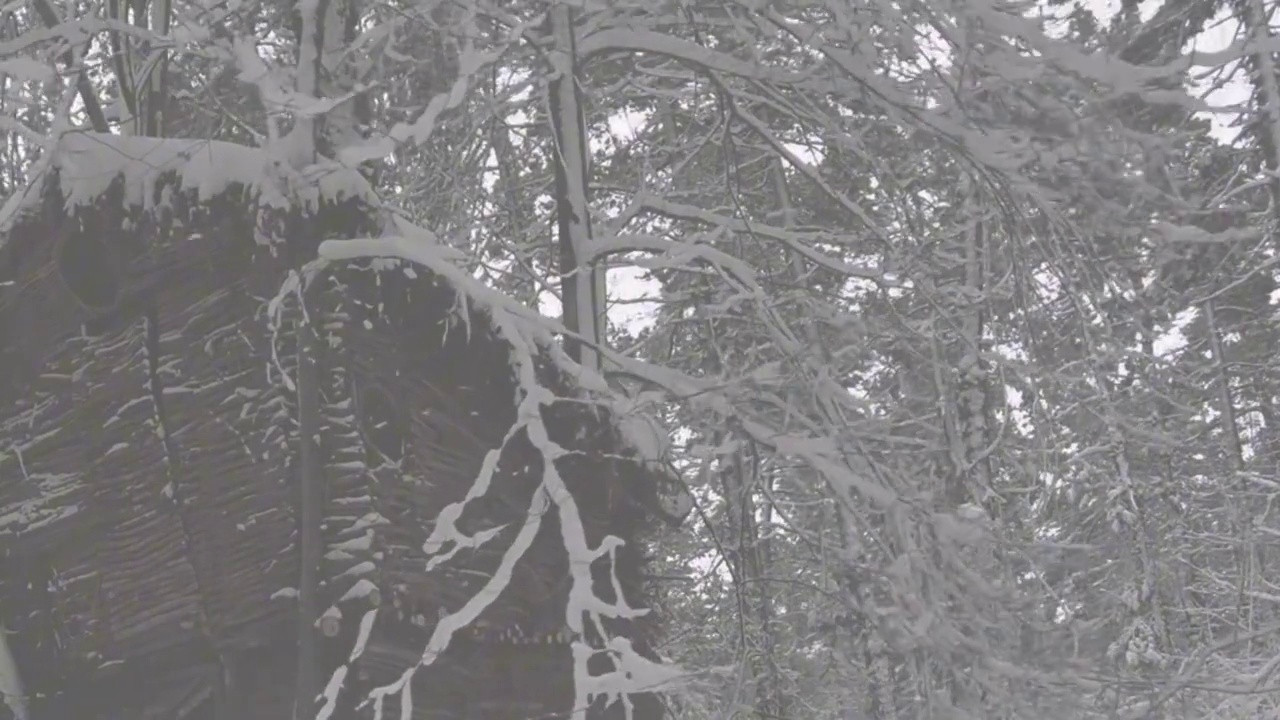 零下39度暴风雪极限生存：冬季生活挑战全记录