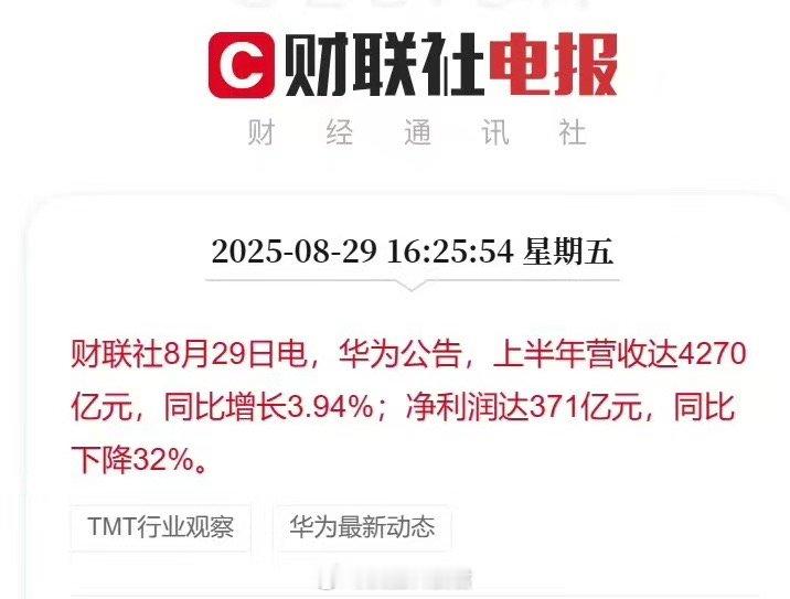 华为上半年净利润达371亿讲真的，看完华为上半年收入这些数据，我心里真是又心疼