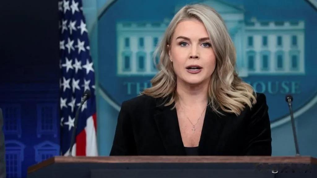 白宫：美日同盟坚定不移今天凌晨，卡罗琳在例行记者会上就日本挑起外交风波时表示：