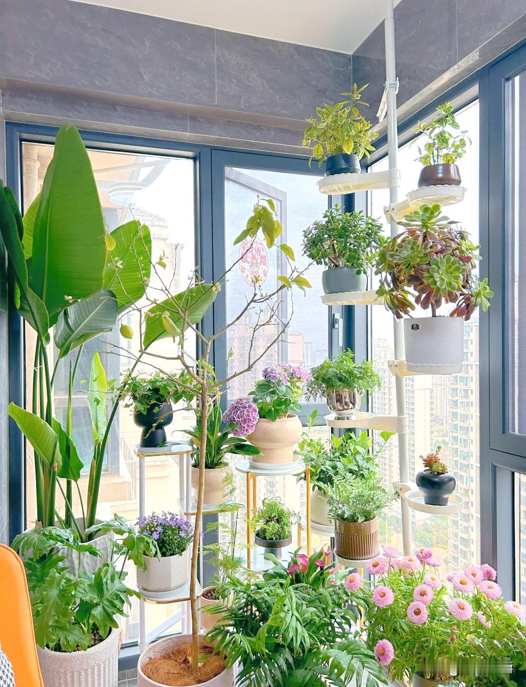 我们邻居女孩离婚了，两个儿子一人分一个。按说从此各走各的阳关道，但生活总有一