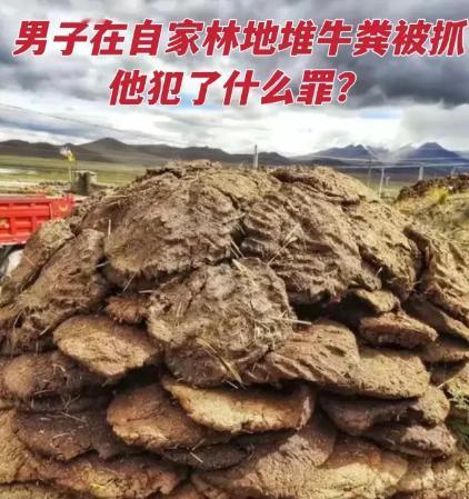 内蒙古通辽，一男子在牛肉加工厂工作期间，注意到厂内堆积如山的牛粪，由于处理这些牛