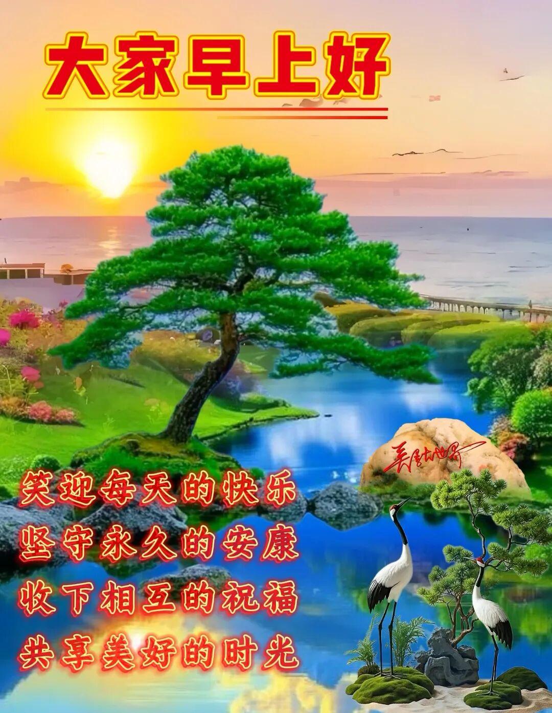 🌺美好清晨💫｜枝头繁花迎朝阳，清风拂面送吉祥，愿你一天皆顺利，无忧无虑心敞亮