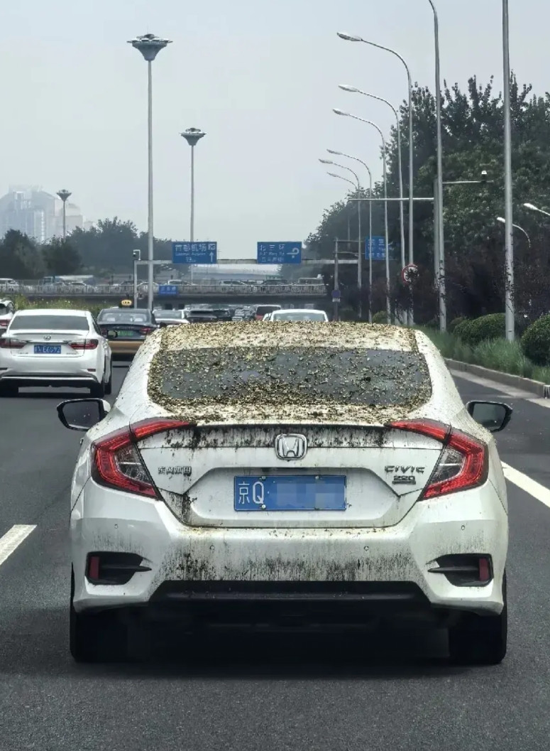 如果我没猜错的话，车主应该是工厂上班的，买车就为了过年方便回老家，平时都不开的，