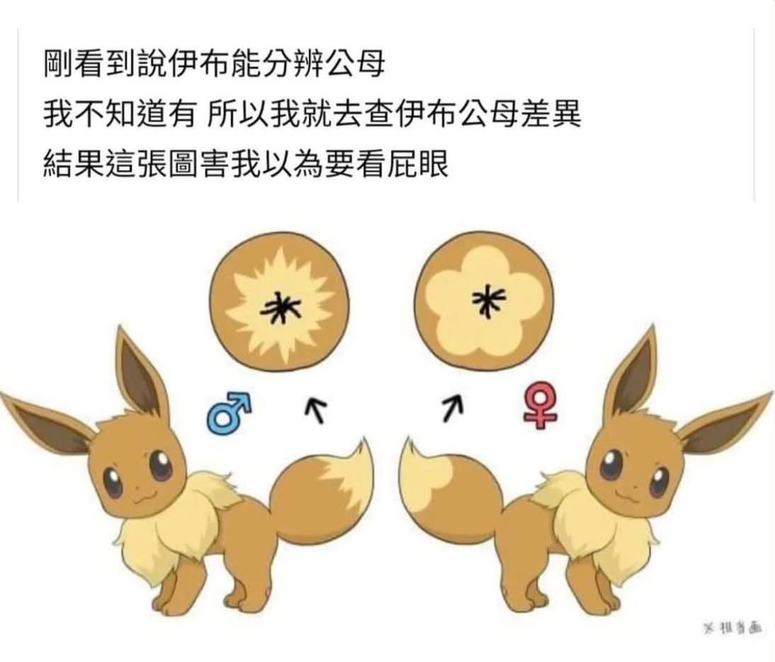 不是吗？meme