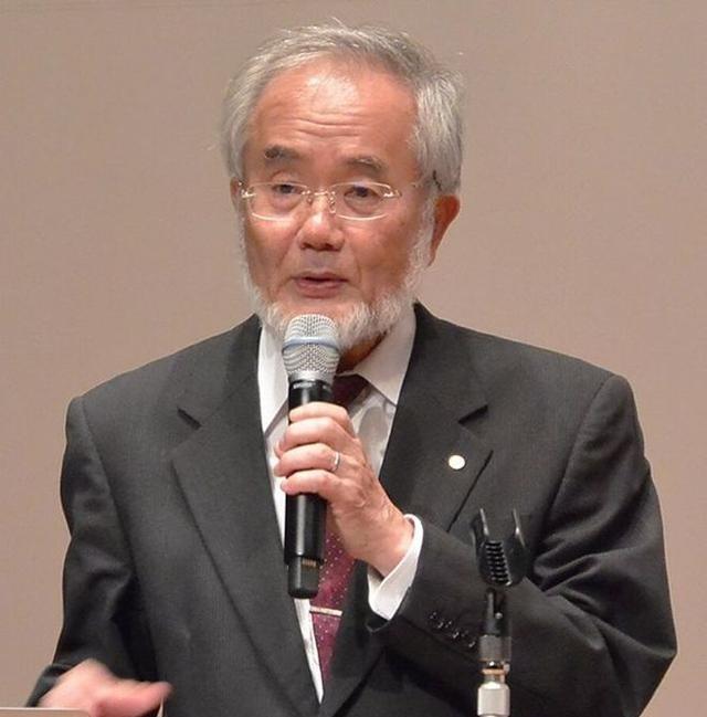 日本生物学家大隅良典因为发现了饿肚子时身体靠“吃掉“受损细胞来自我清理的机制