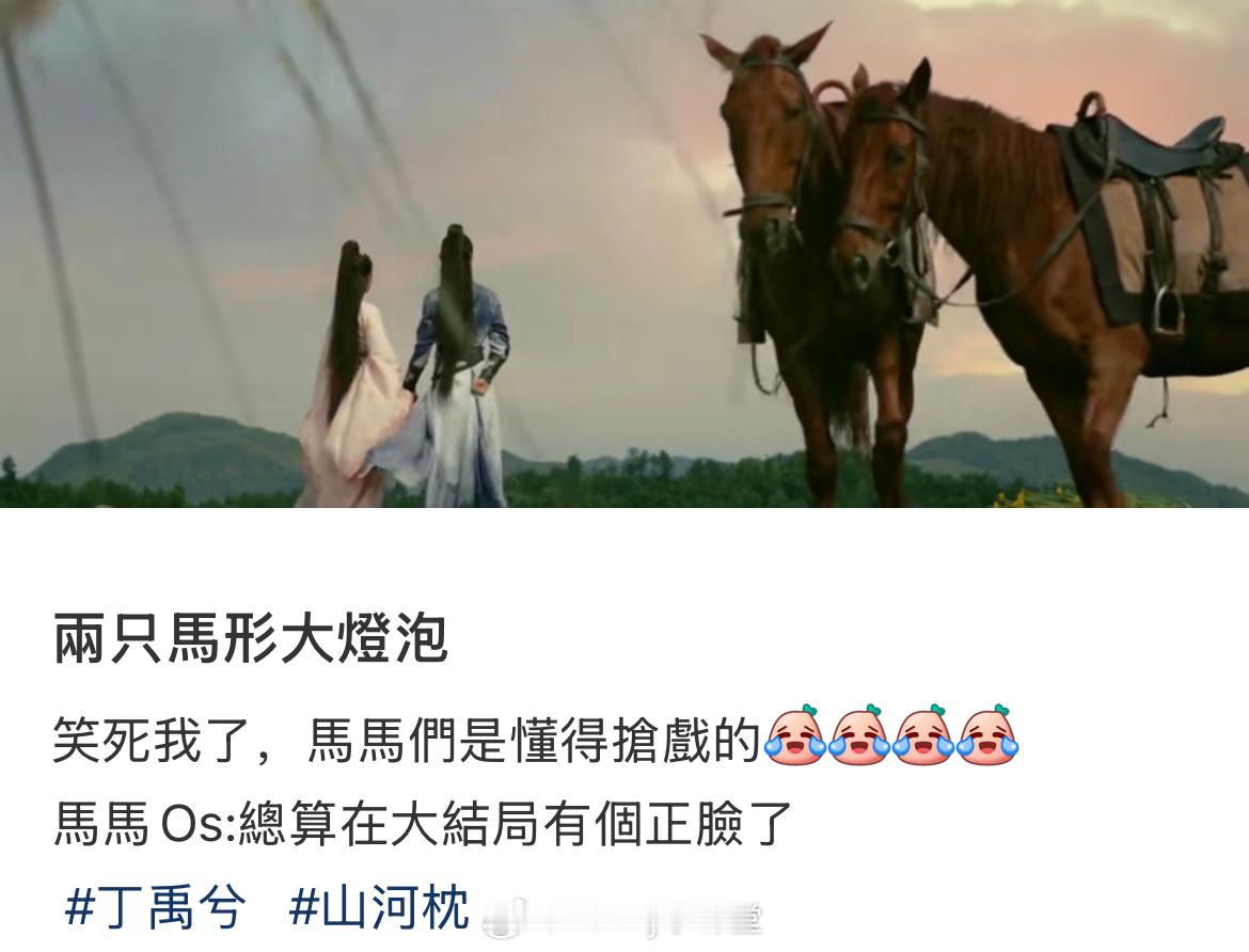 山河枕这个镜头的意义在哪里，两匹马大得离谱……S➕长剧的水平就这？？？