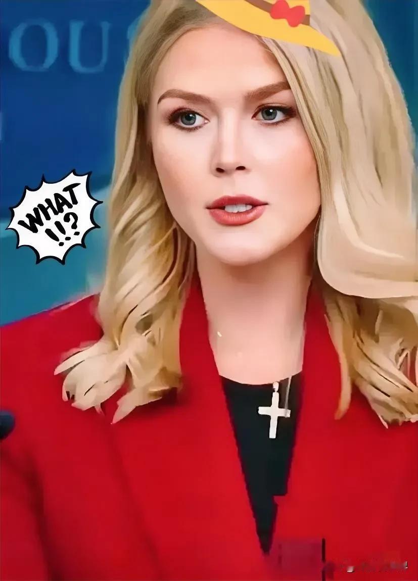 美国白宫消息:2025年11月25日，白宫新闻秘书莱维特公开宣布，本周内美国总