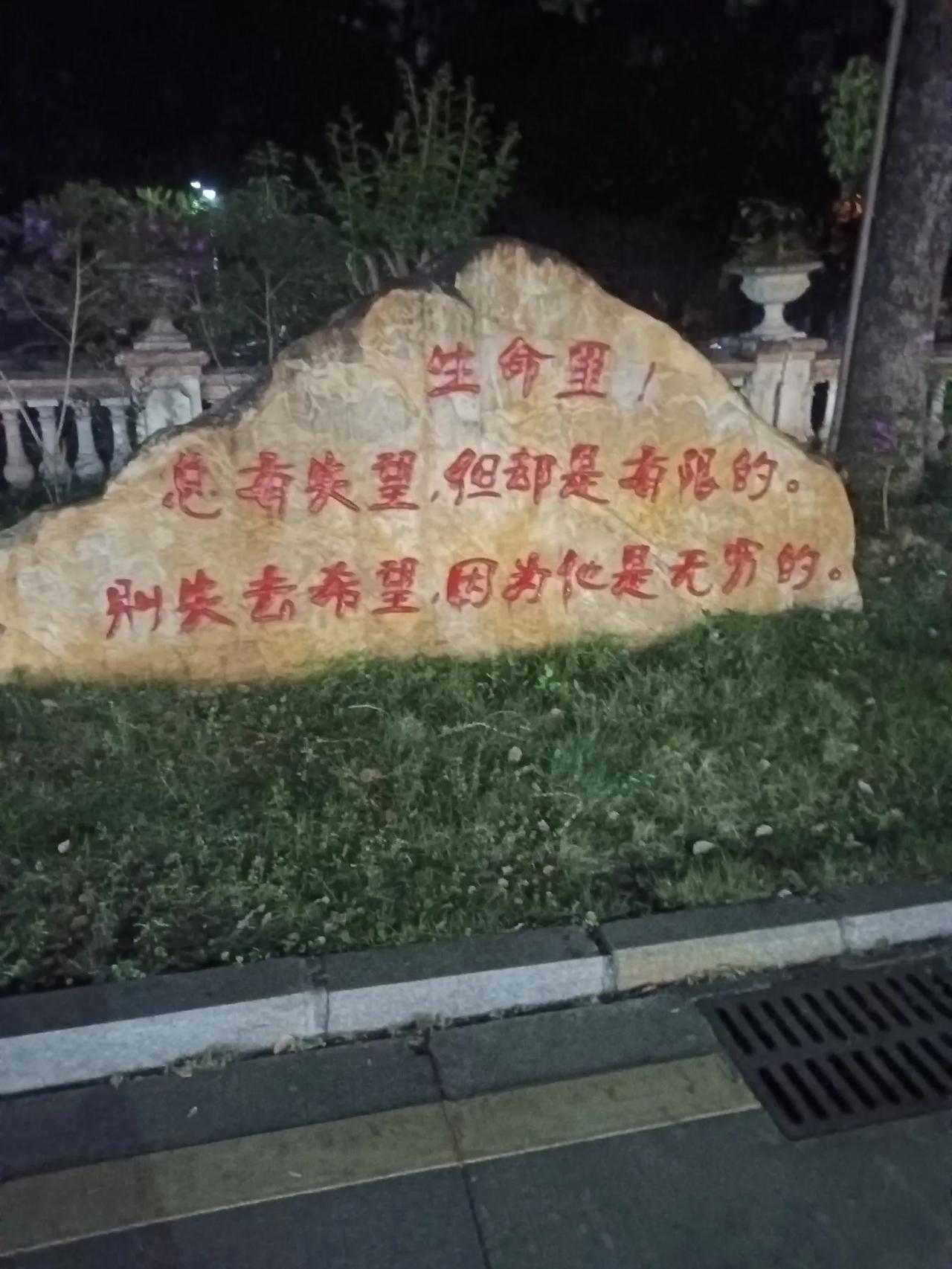 妈呀，一个脚指头脓种就失去了生命！这到底是怎么回事呢？昨天，楼下的一个邻居才