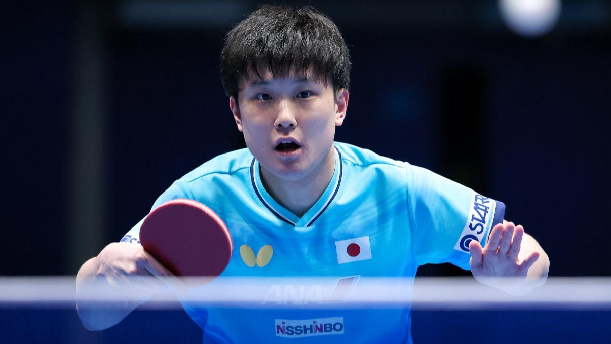 伦敦世乒赛男团一夜16强已定八席。法国3-0碾压，日本3-1过关！北京时间