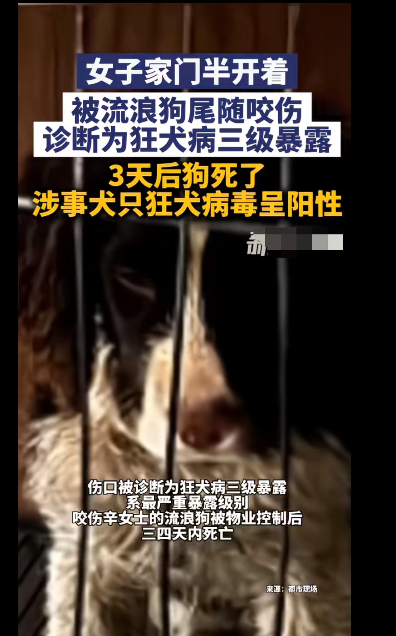 女子家里房门半开着，被流浪狗尾随着进入家里咬了，这真是倒霉到家了，更倒霉的是那只
