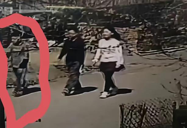 你以为孩子结伴出行、就在离家几百米的熟悉路段活动，就等于给安全上了双保险？黑龙江