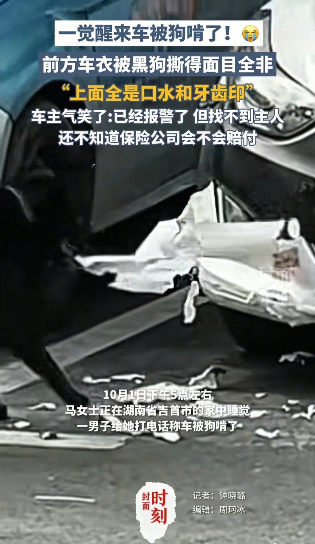 我觉得吧，像犬类长期被弃养或散养会产生严重分离焦虑，有可能会通过啃咬硬物缓解压力