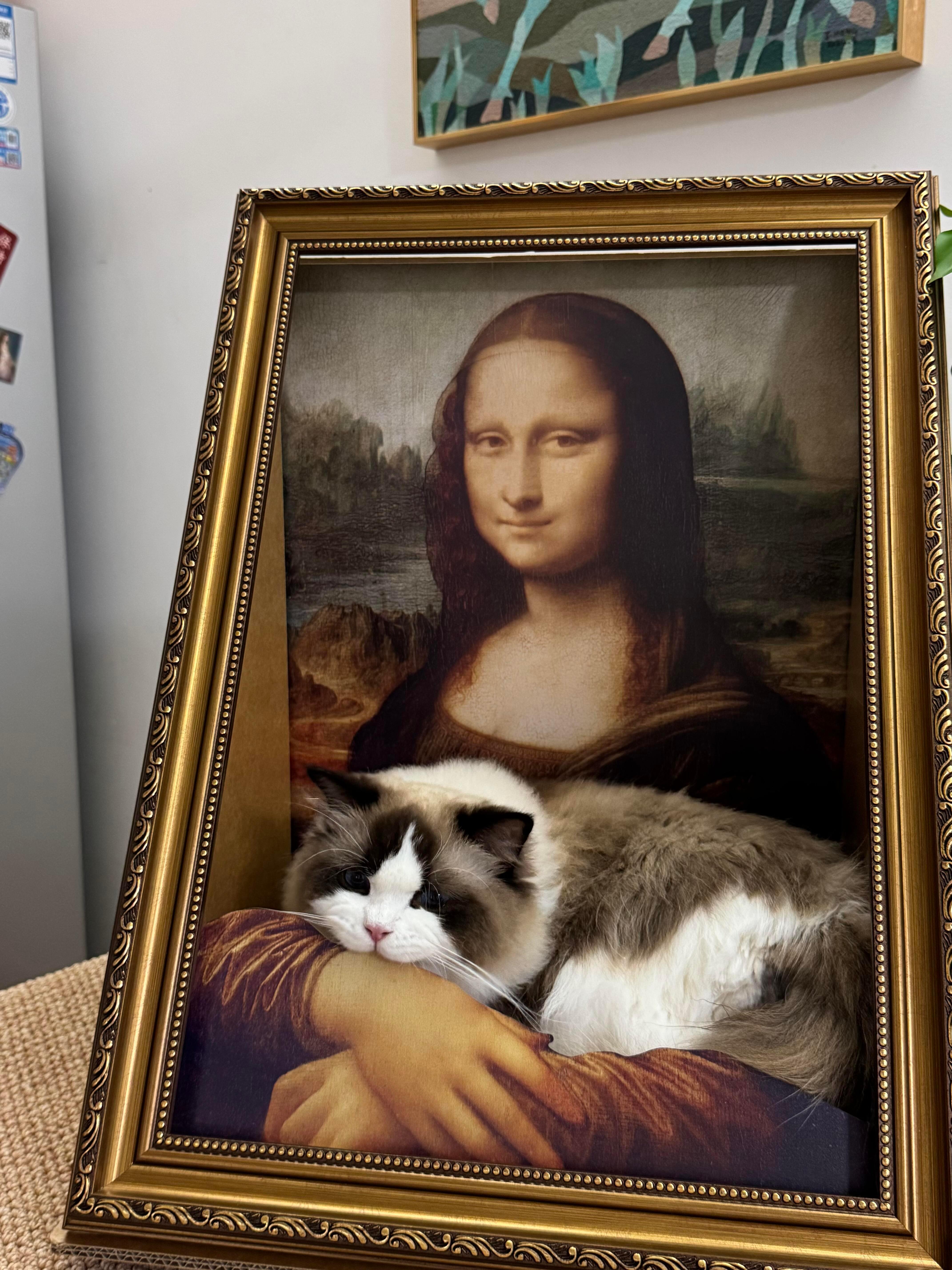世界名画：蒙娜丽莎的猫​​​