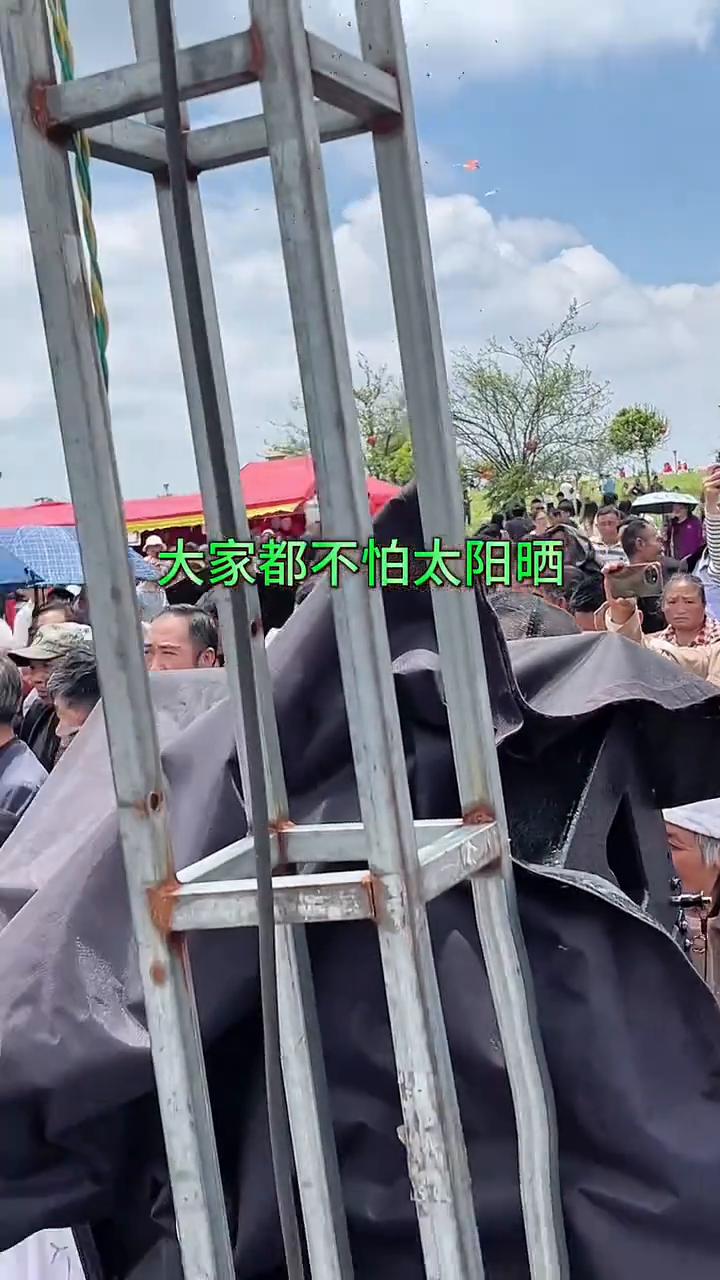 大家都不怕太阳晒。