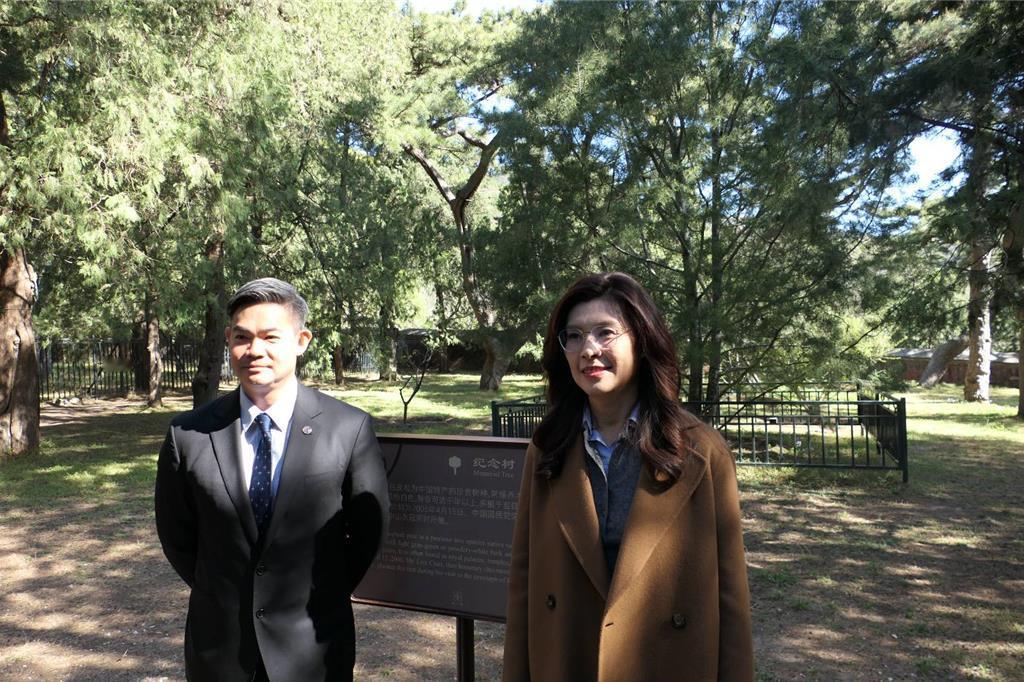 郑今赴碧云寺谒孙中山衣冠冢，与连胜武在连战种下的白皮松树下合照，象征两岸和平交流