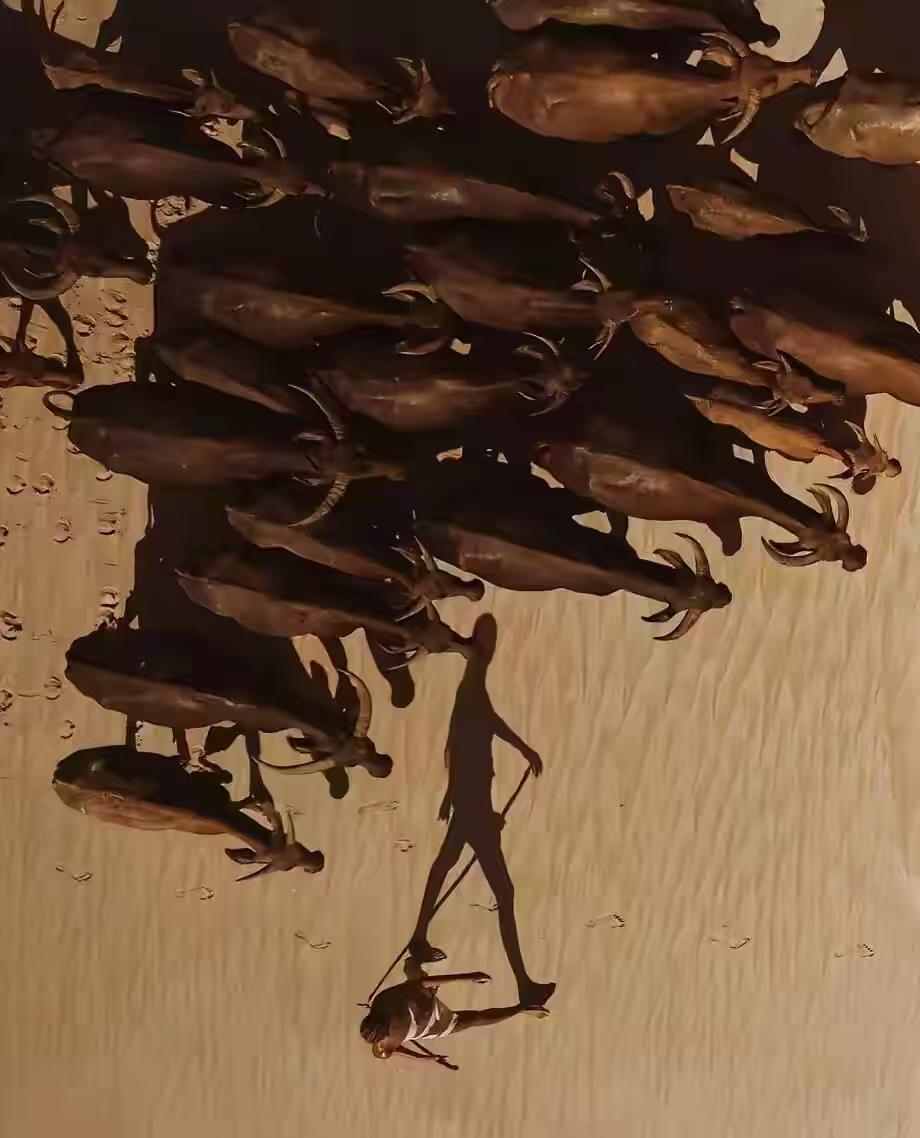 爱了就爱了[玫瑰]