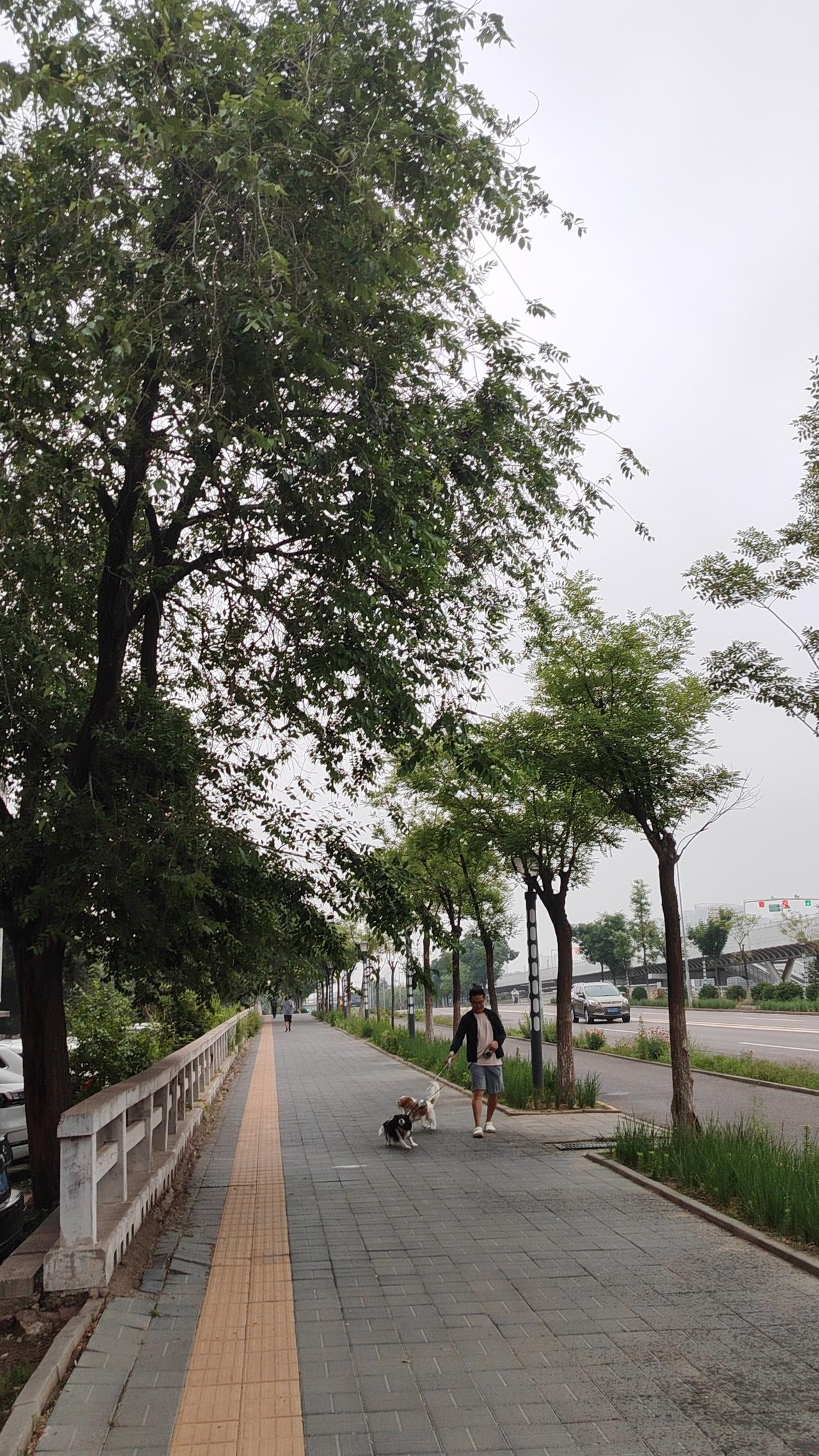 每一个清晨都是一次新生的契机，不要畏惧昨日的遗憾，因为今天的阳光会温柔地抚平所有