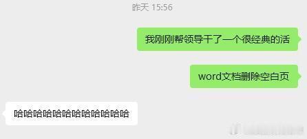 本人将会把“会删掉word空白页”写入本人简历的核心竞争力板块中职场那些事职场生
