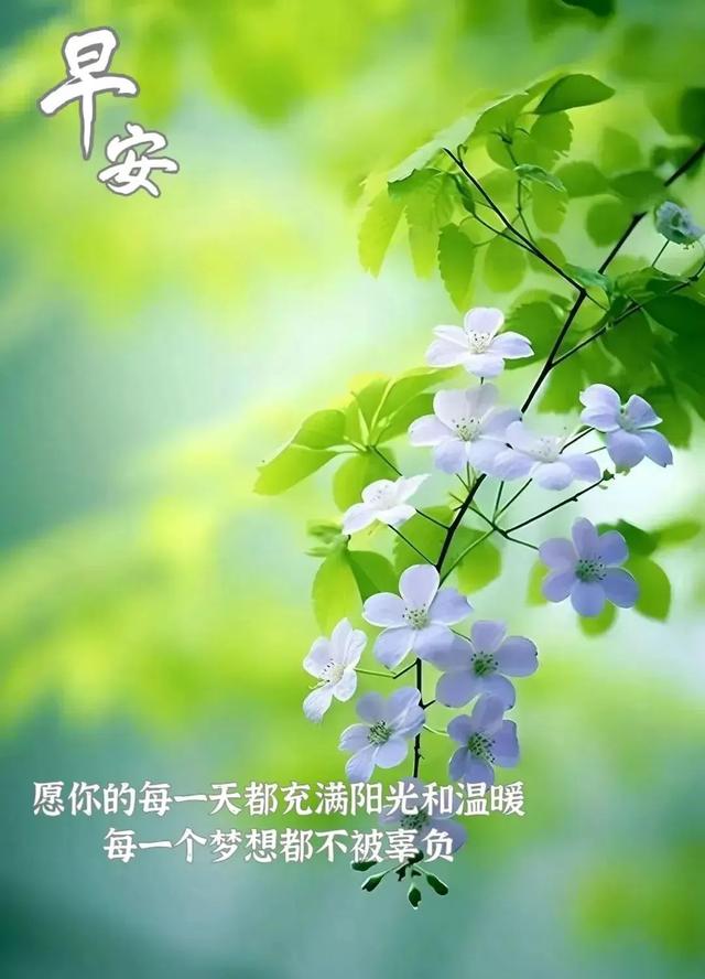 群发朋友圈最漂亮的早安问候祝福语, 愿你不负春光, 不负梦想