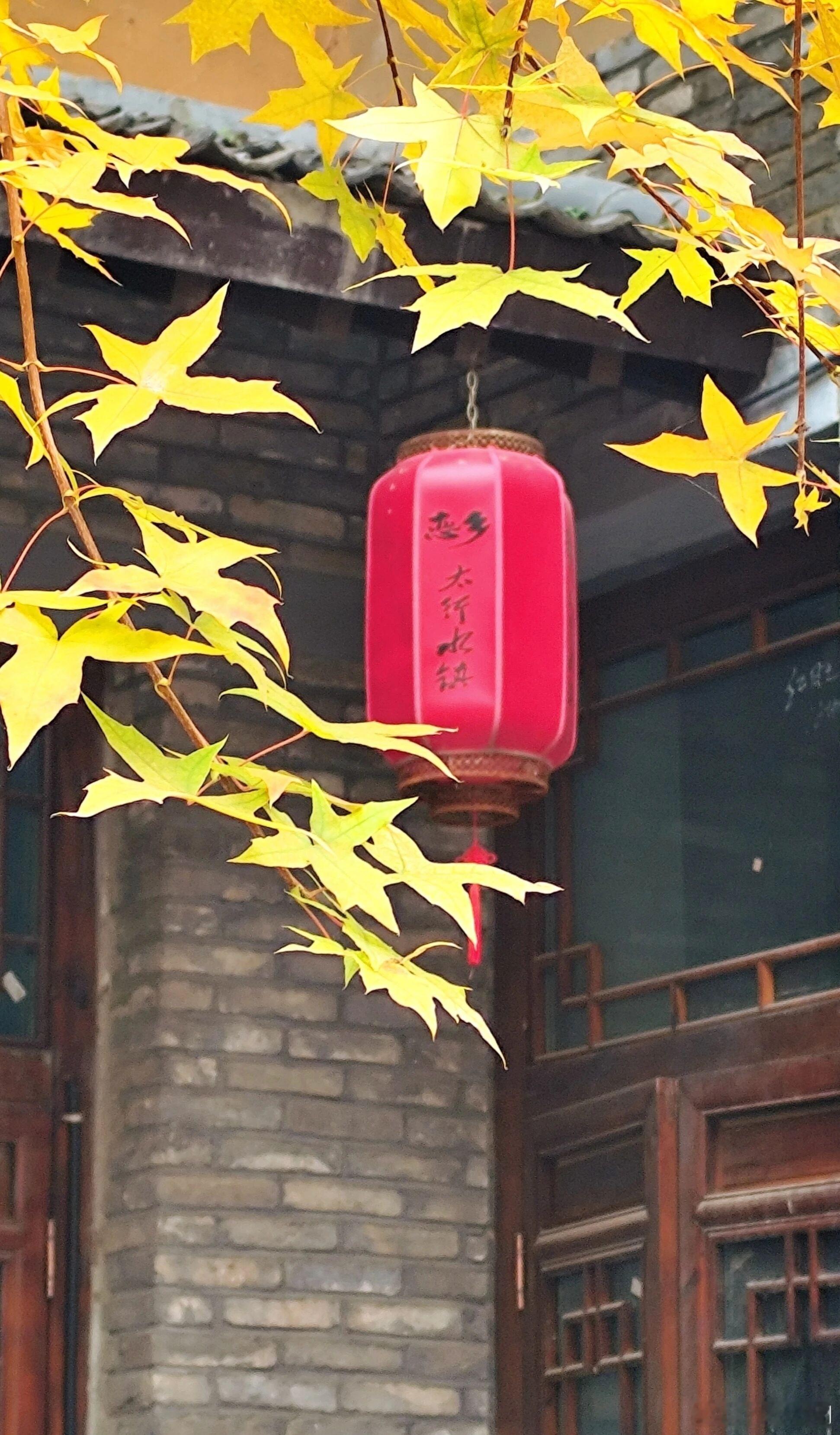 牢记这10不争，你会越混越好一，跟父母，不争口舌，争了，人品就没了。二，跟兄弟，