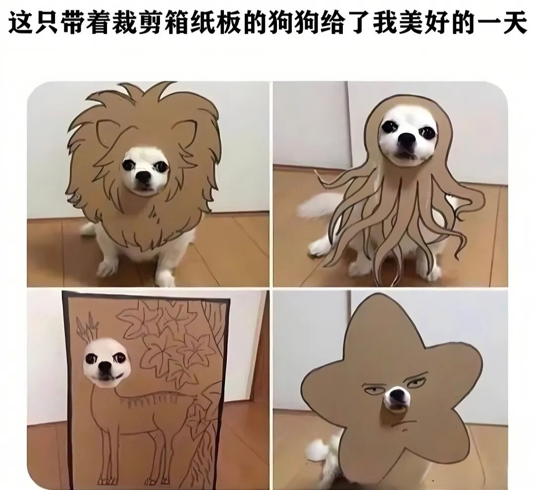 最会cos的一集memes