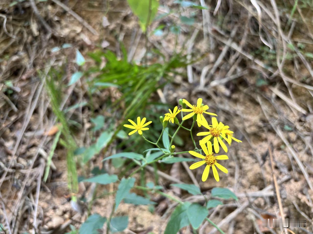 判断大事的10个底层逻辑！不管是做人生选择、职场决策还是生活里的重要决定，让