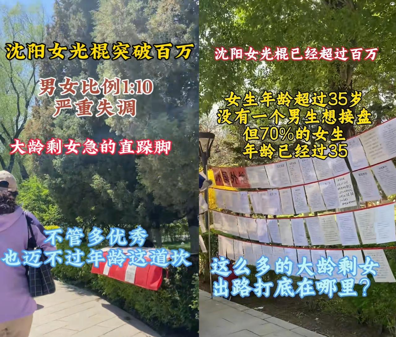 沈阳剩女这下真能躺平了？据说沈阳剩女达100万38岁左右的，结婚似乎挺难。