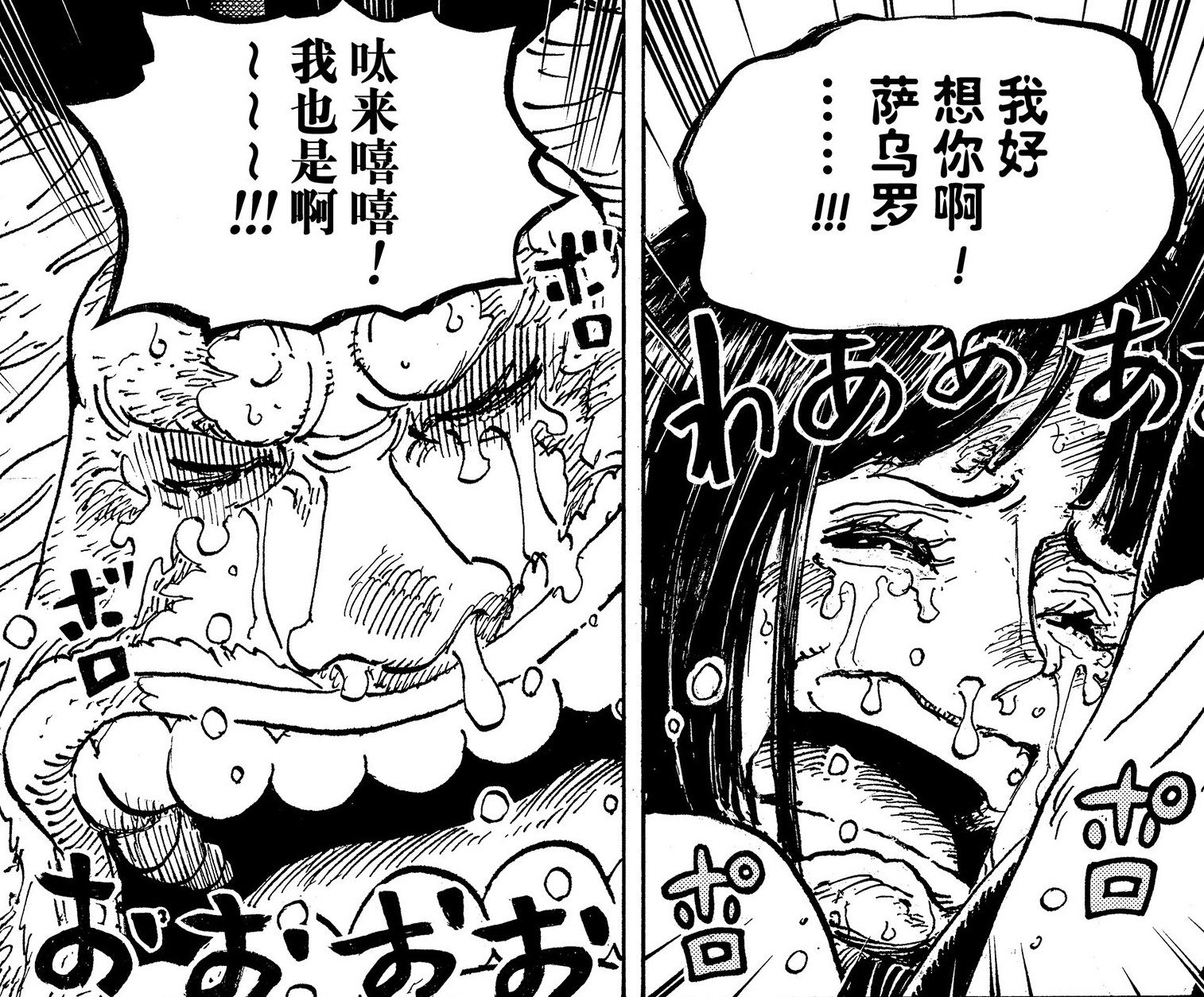 海贼王海贼王动画看到这里肯定得哭亖