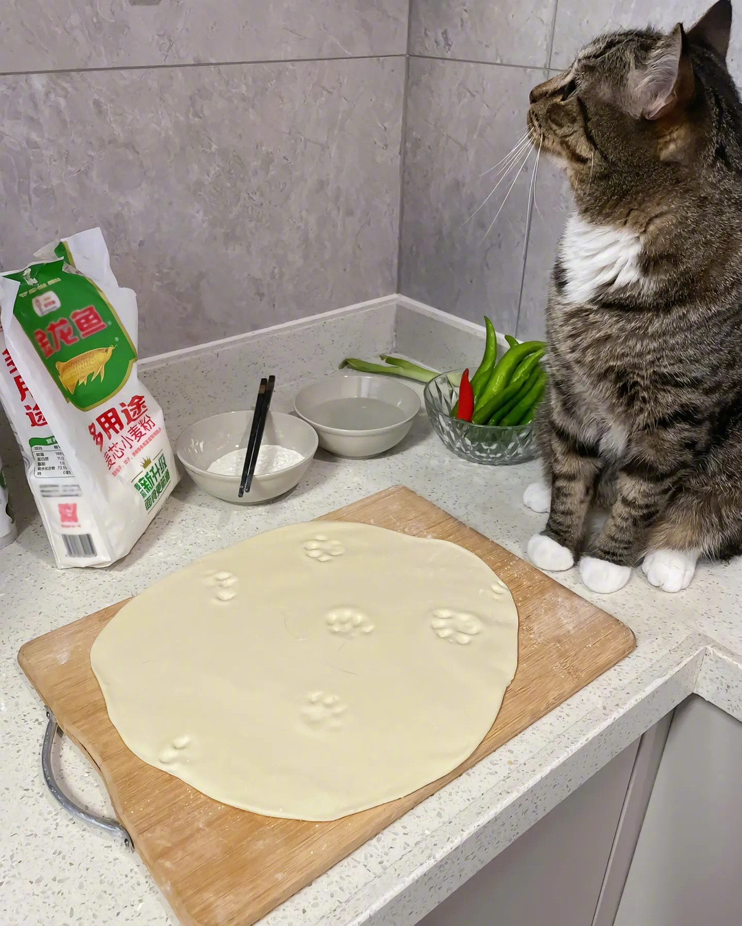 这个一看就不关猫咪的事！！