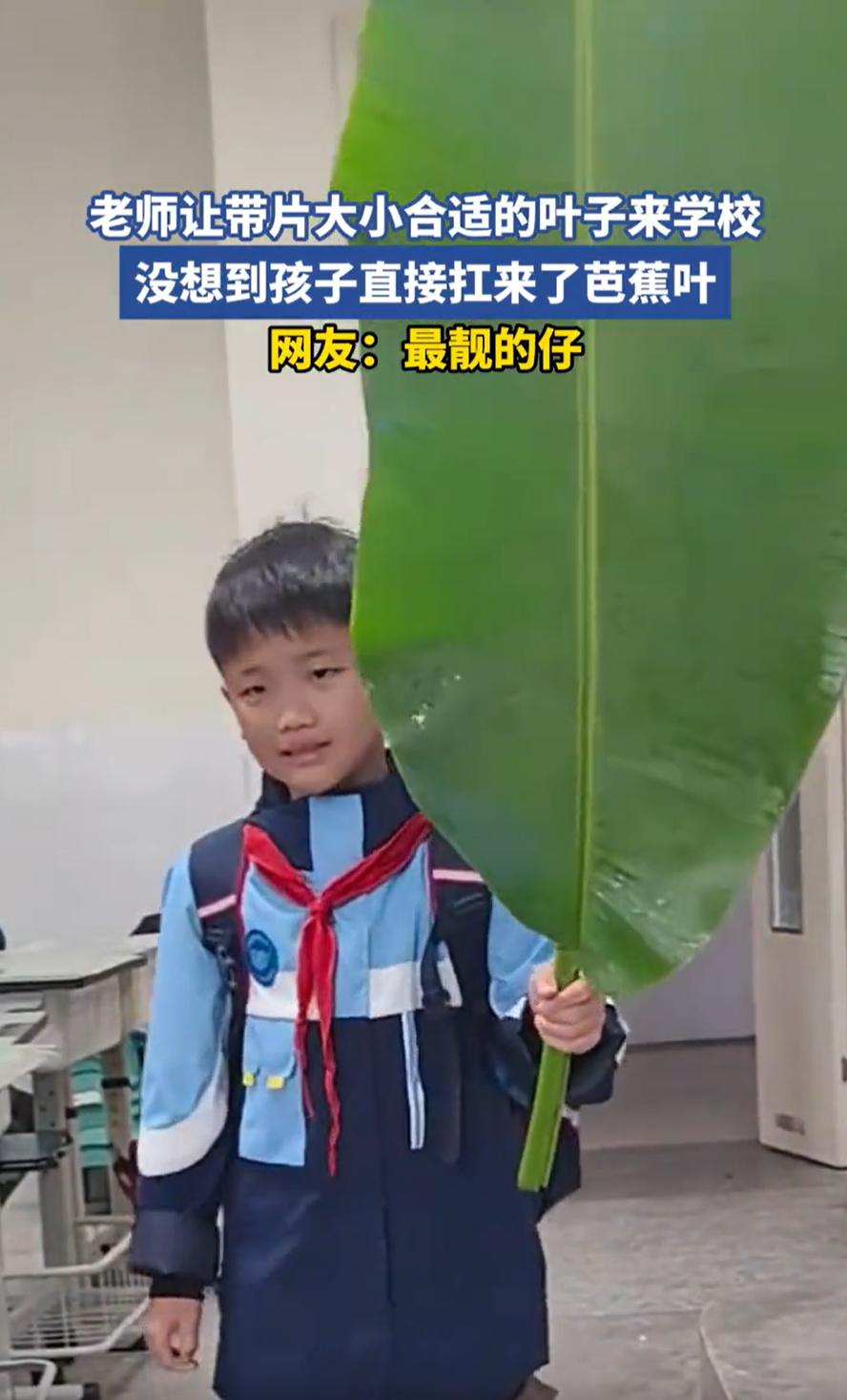 太好笑了！四川，老师在放学前布置了一个特别的作业，让每个学生第二天带一片叶子来上