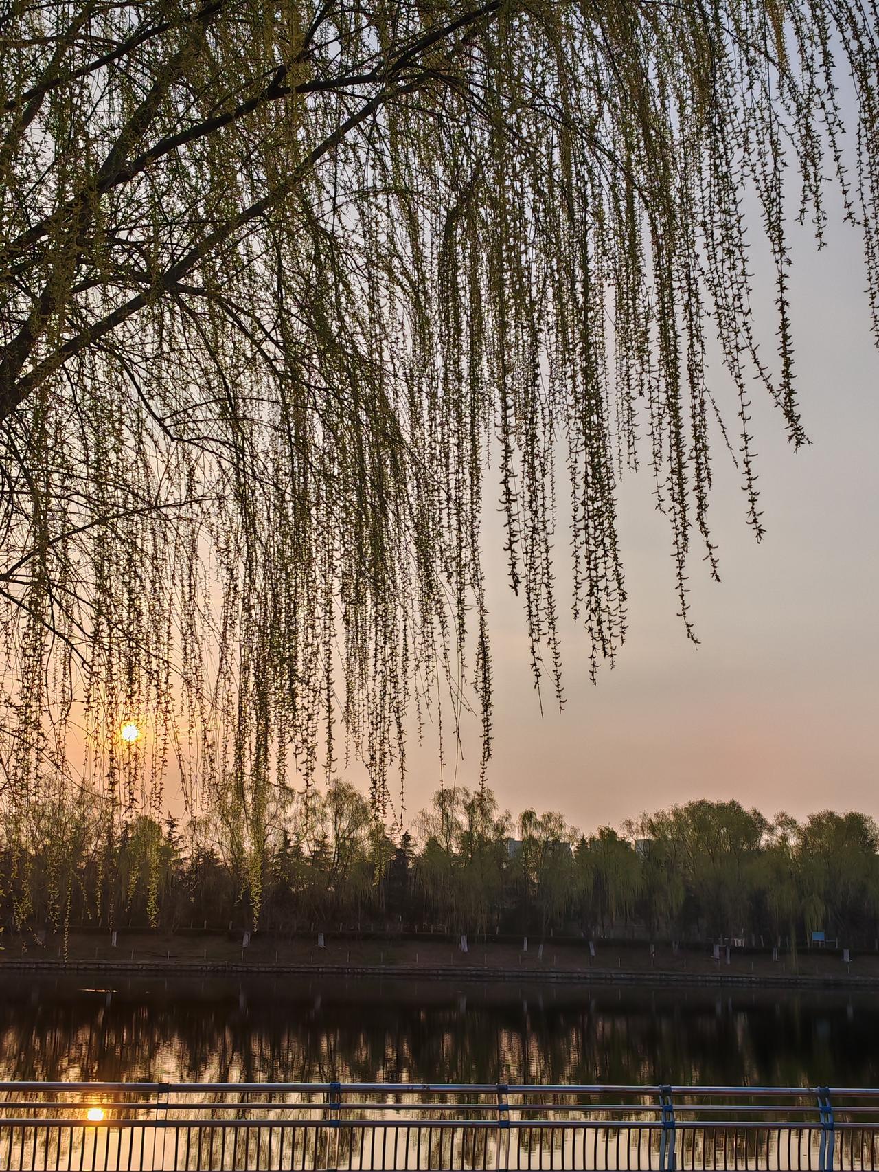 现在卖房到底是聪明还是傻？有人觉得现在卖房能及时止损，毕竟房地产行情越来越差。