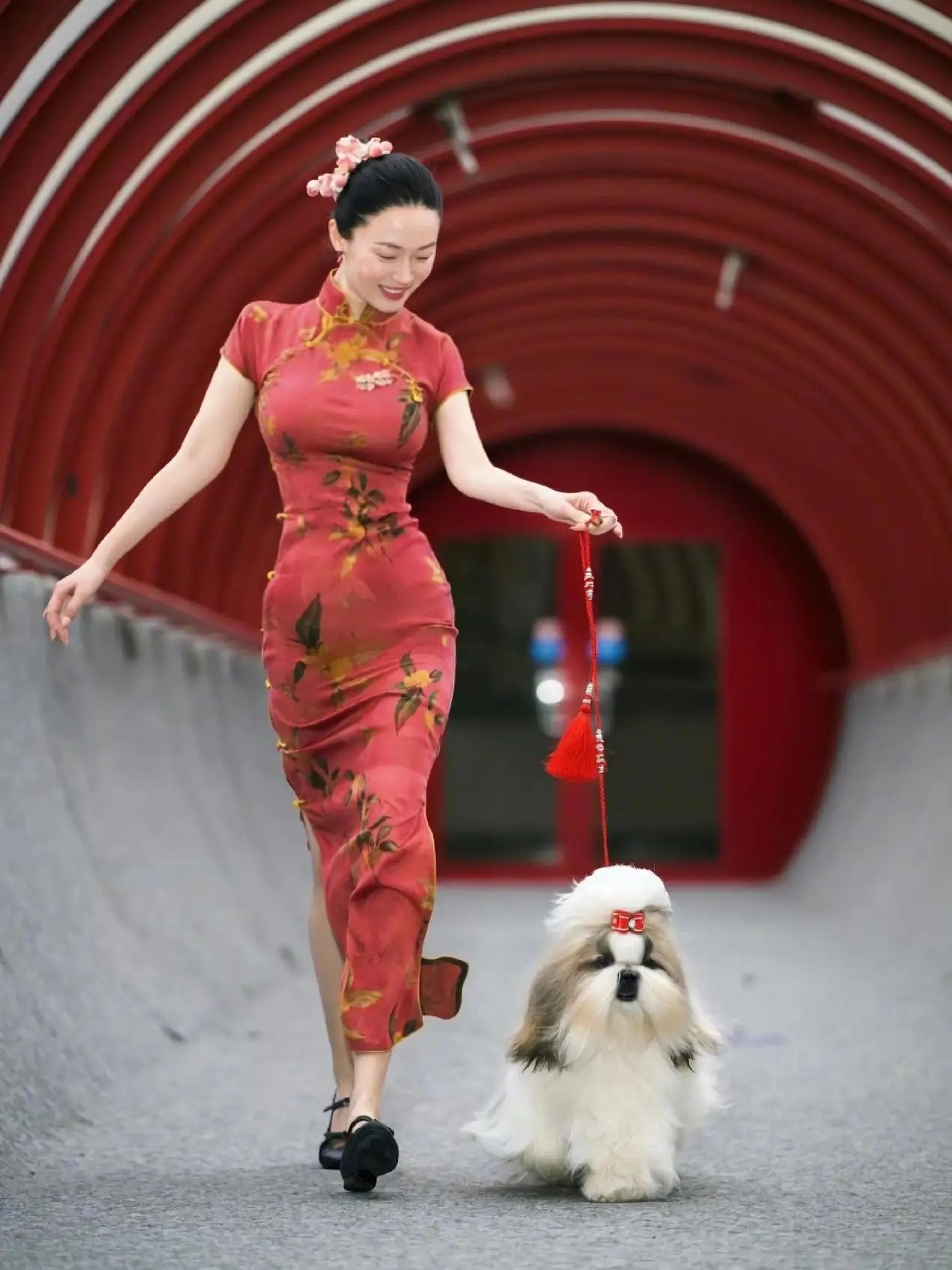 霍思燕带小狗参加比赛获得总冠军，而且是她亲自上场，担任牵犬师比赛的！感觉这只小狗