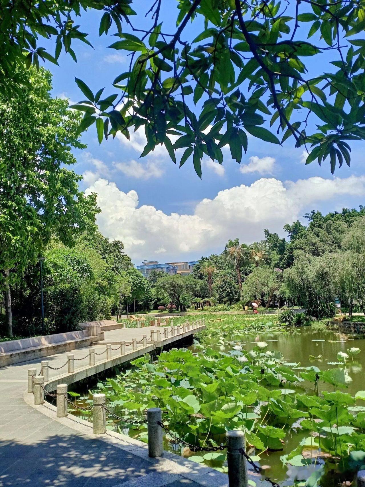 东涌公园春日漫步指南｜城市绿肺中的慢生活🌿在钢筋森林里挖到一片治愈系绿洲！