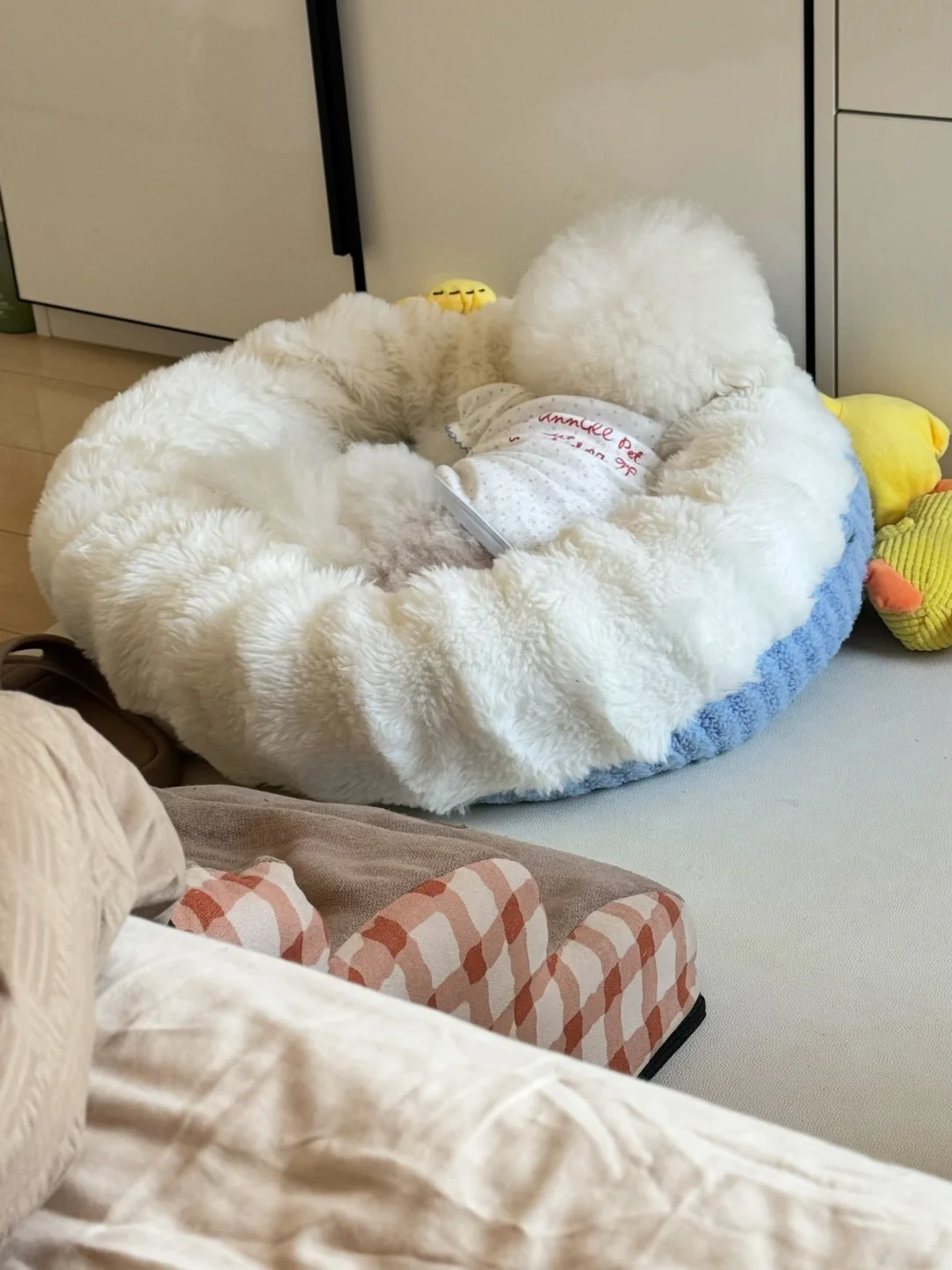 醒来没摸到我的床搭子