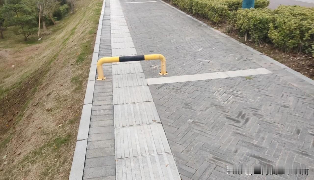 这盲道给我看笑了