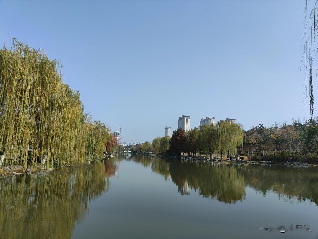 近日，江苏一12岁小学生在家中服药自杀，留下一封遗书，遗书中写道:“好累，我受不