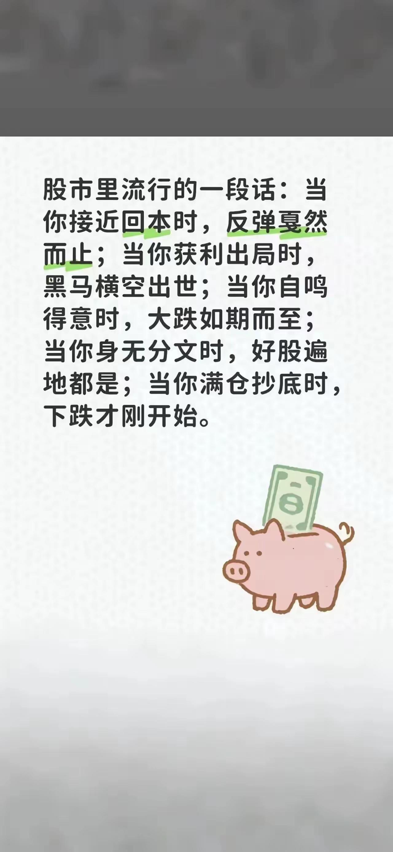 为什么每个小散都这么惨？