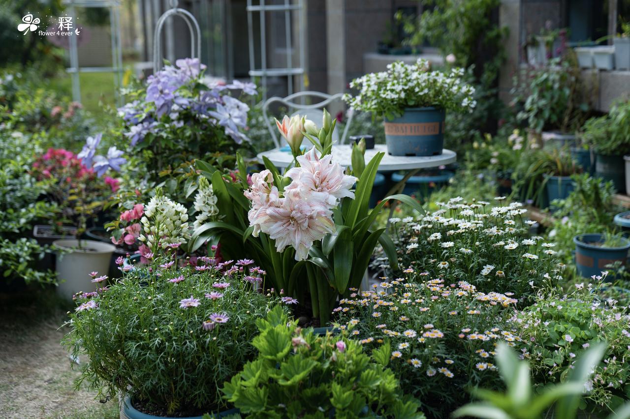 福州最美居住区今天无意间看见开发商的标语，福州最美居住区。我先是愣了一下，这不