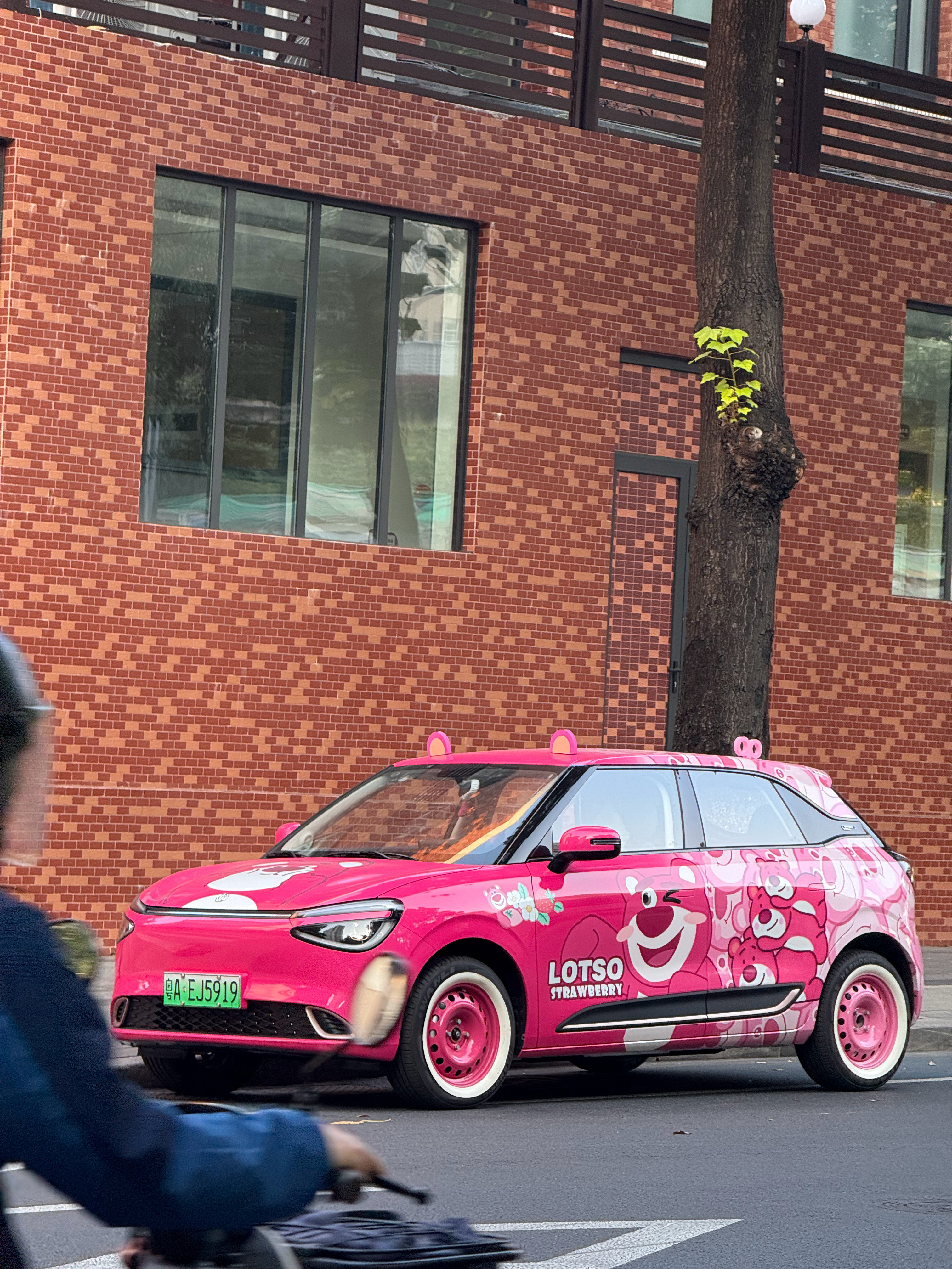 今天继续送车模！